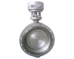 Hard seal butterfly valve with flange